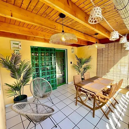 Paradise Duplex Sweet Siroco *